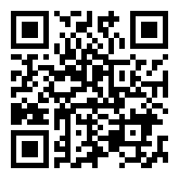 石皮