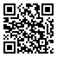 愤怒的方形鸟